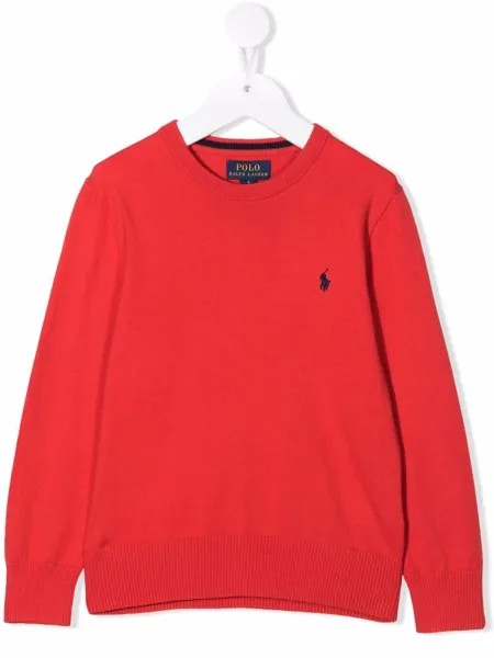 Ralph Lauren Kids джемпер с вышивкой Polo Pony