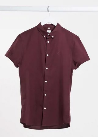 Оксфордская рубашка малинового цвета с короткими рукавами River Island-Розовый