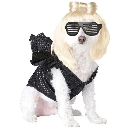 Костюм для собаки Леди Гага California Costumes