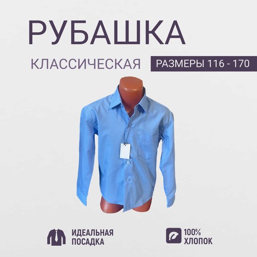 Школьная рубашка PLATIN, размер 158/164, голубой