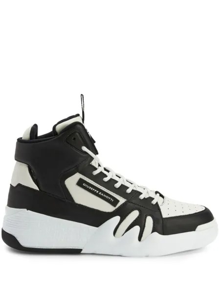 Кеды Giuseppe Zanotti Talon, черный дубль