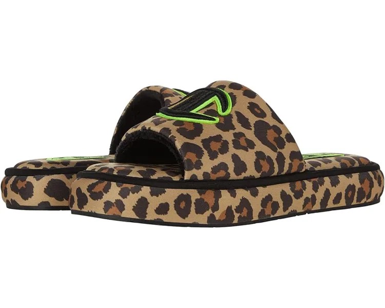 Домашняя обувь Champion Plush Print, цвет Black/Leopard