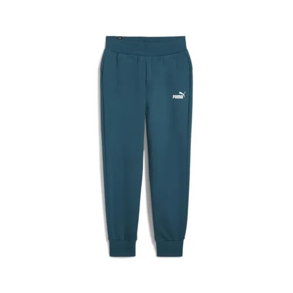 Спортивные брюки PUMA 