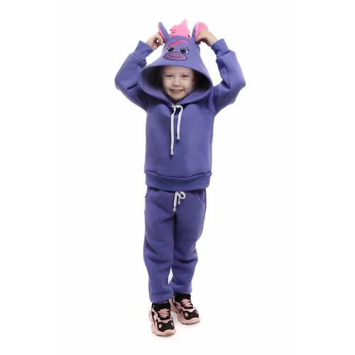 Худи DaEl kids, размер 110, фиолетовый