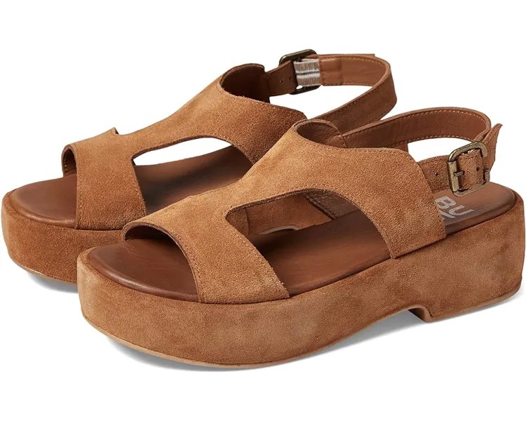 Туфли Bueno Taylor, цвет Chestnut Suede