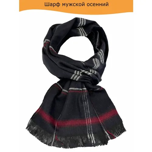 Шарф , 200х34 см, бордовый, синий