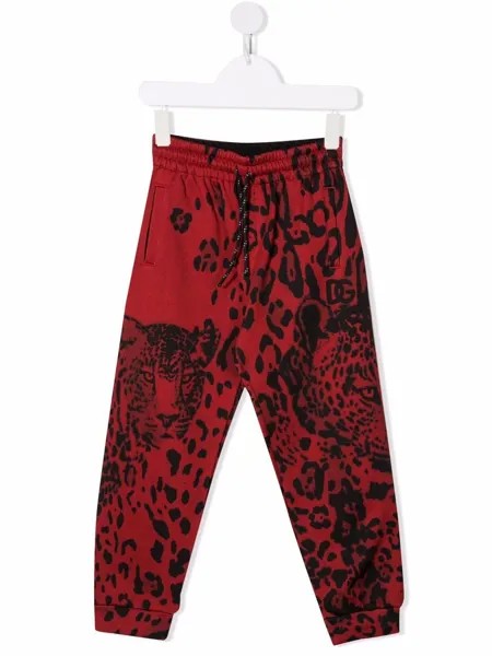 Dolce & Gabbana Kids спортивные брюки с леопардовым принтом