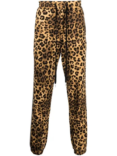 Haculla спортивные брюки с леопардовым принтом