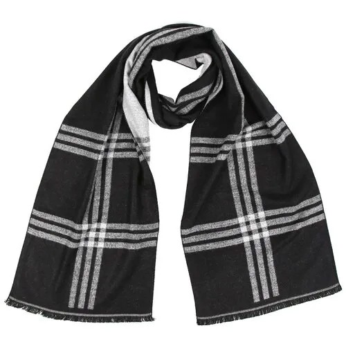 Шарф мужской 100% вискоза 30x192 Fabretti UMS003-26