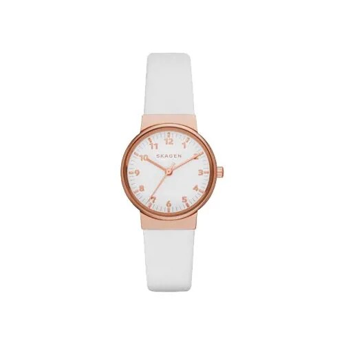 Наручные часы Skagen SKW2290