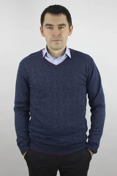 Мужские джемперы Полесье