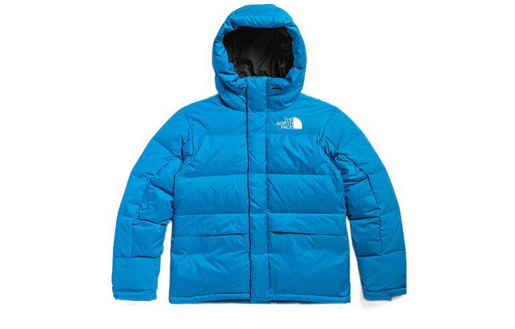 THE NORTH FACE Мужской пуховик, цвет Blue