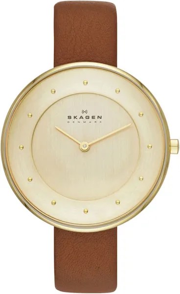 Наручные часы женские Skagen SKW2138