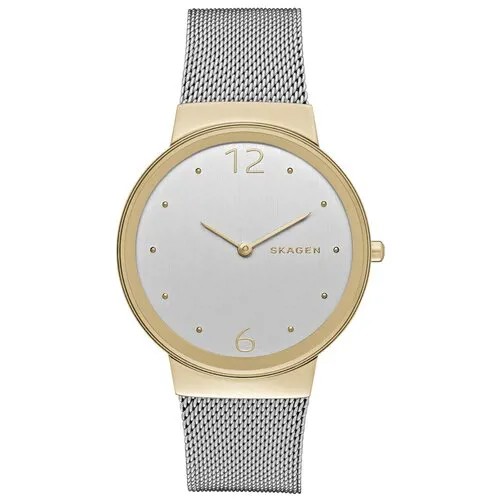 Наручные часы Skagen SKW2381