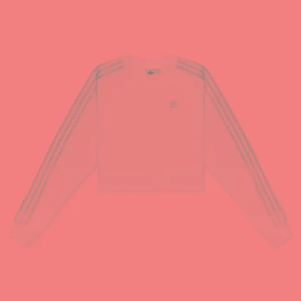 Женская толстовка adidas Originals