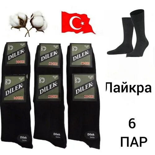 Мужские носки DILEK Socks, 6 пар, размер 41-43, черный