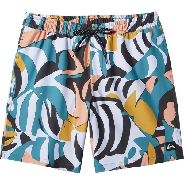 Шорты для плавания Quiksilver Every Mix 16´´, разноцветный