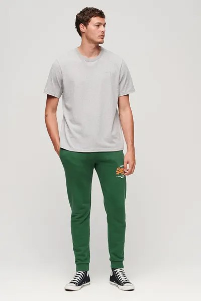 Хлопковые спортивные штаны с логотипом Ovin Classic Heritage Superdry, зеленый