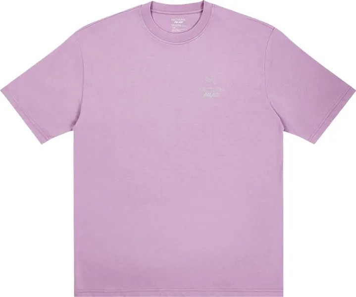 Футболка Palace x Arc'teryx T-Shirt 'Haze', фиолетовый