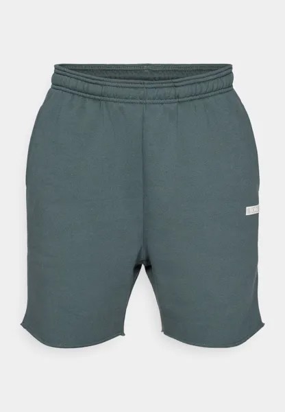 Спортивные шорты Björn Borg, серо-голубой Studio Oversized Shorts
