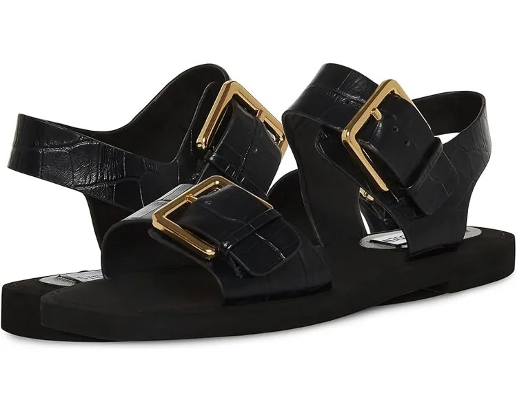 Сандалии Steve Madden Santo Sandal, цвет Black Croco