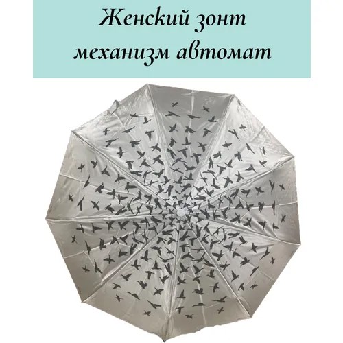 Смарт-зонт Sponsa, серебряный