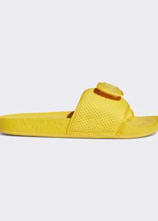 Шлепанцы Pharrell Williams SITW Boost adidas Originals