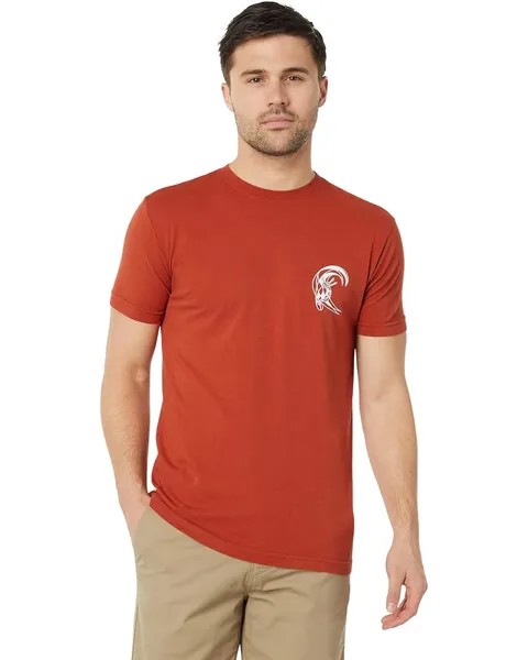 Футболка O'Neill Round & Round Short Sleeve Tee, цвет Picante