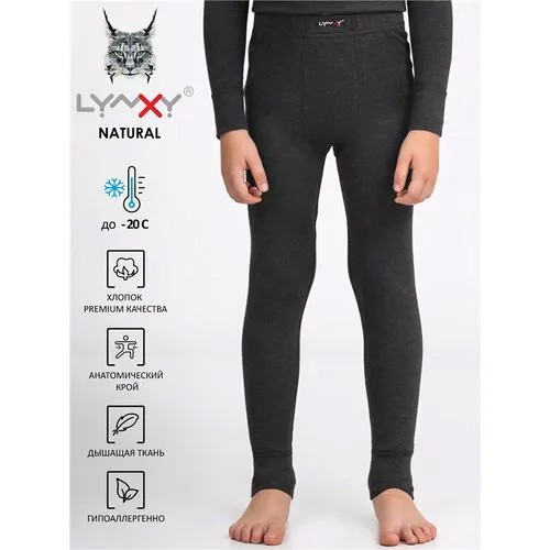 Термобелье кальсоны Lynxy Natural, плоские швы, размер 84-158, серый