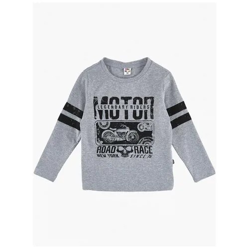 Лонгслив для мальчиков Mini Maxi, модель 6097, цвет серый, размер 98