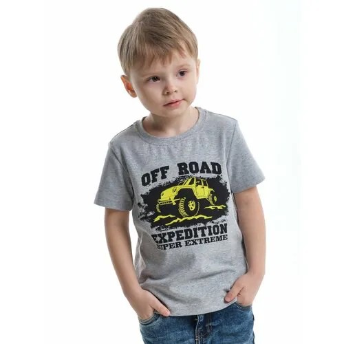 Футболка Mini Maxi, хлопок, размер 122, серый