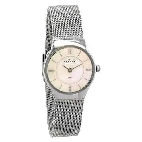 Наручные часы Skagen 233XSSS
