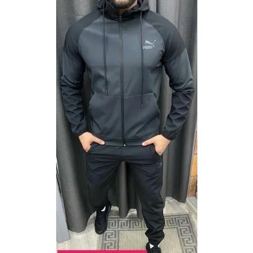 Костюм PUMA, олимпийка и брюки, размер 48, черный