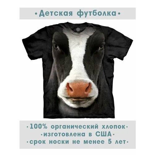 Футболка The Mountain, размер XL-Y, черный
