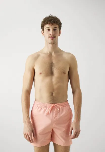 Плавательные шорты Calvin Klein Swimwear, светло-розовый
