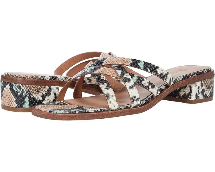 Туфли Madewell Jeni Mule in Snake Embossed Leather, цвет Muted Shell Multi
