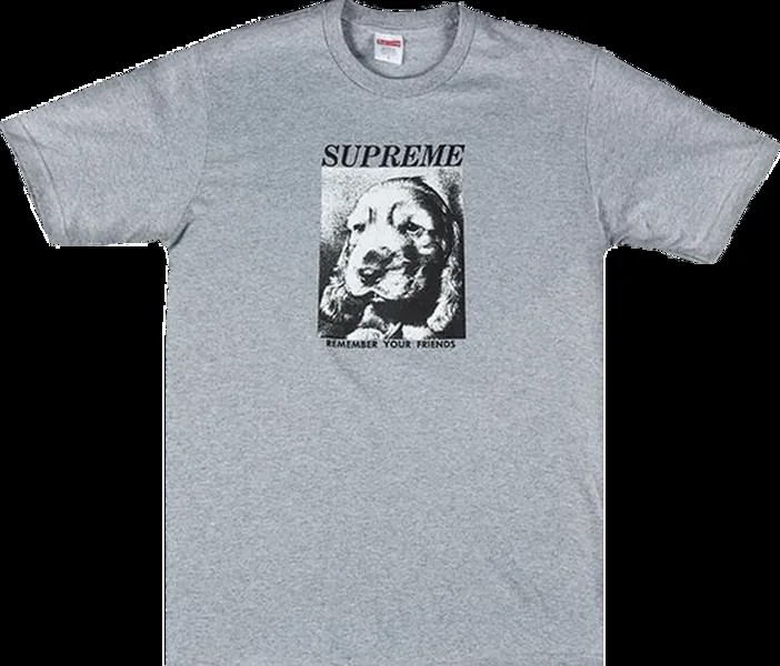 Футболка Supreme Remember T-Shirt 'Grey', серый