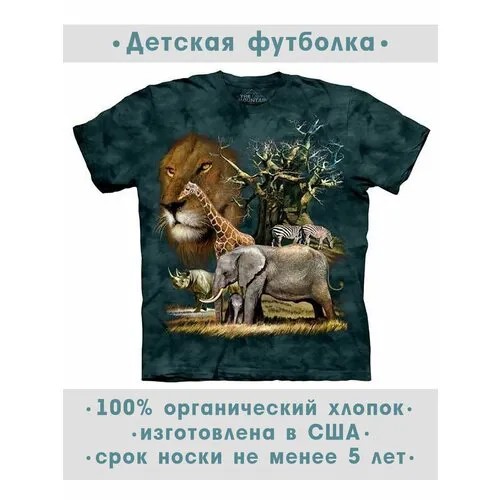 Футболка The Mountain, размер S-Y, синий