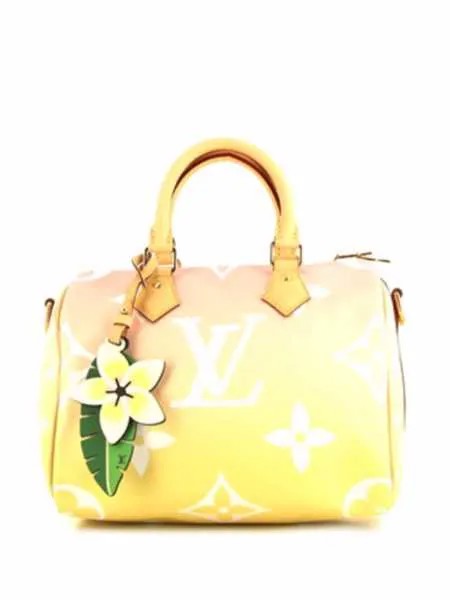 Louis Vuitton сумка Speedy pre-owned с монограммой