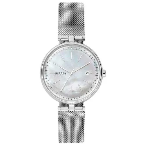 Наручные часы Skagen SKW2979