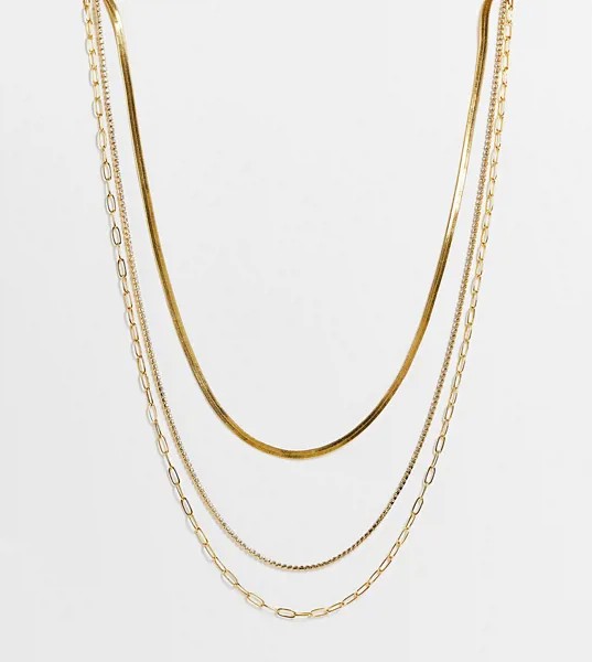 Ожерелье в несколько рядов с покрытием из 14-каратного золота и цепочкой из мелких страз ASOS DESIGN Curve-Золотистый