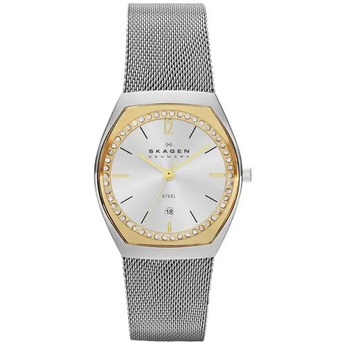Женские наручные часы Skagen Mesh Classic SKW2050