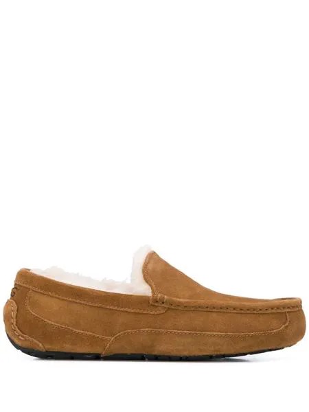 UGG слиперы Ascot