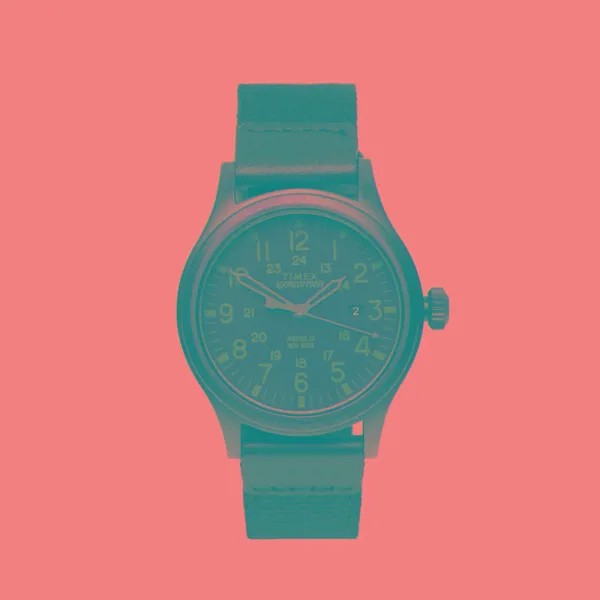 Наручные часы Timex Expedition Scout
