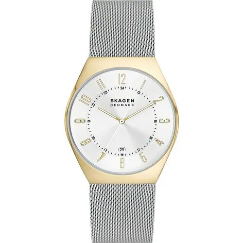 Наручные часы SKAGEN женские Skagen SKW6816, золотой