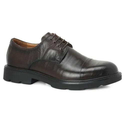 Туфли Maison David, размер 45, dark brown