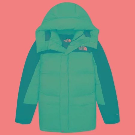 Мужская куртка парка The North Face 1994 Retro Himalayan Futurelight, цвет фиолетовый, размер XL