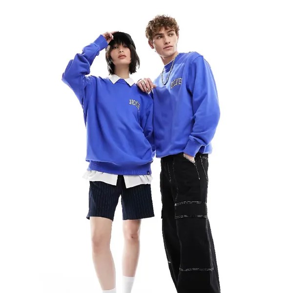 Свитшот Dickies Aitkin Left Shest Logo, синий/белый