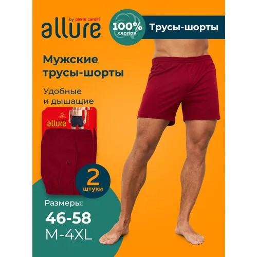 Трусы ALLURE, 2 шт., размер 5/L (48-50), бордовый