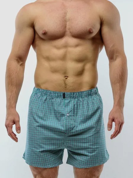 Боксеры мужские Sergio Dallini SG3310 разноцветные XXL